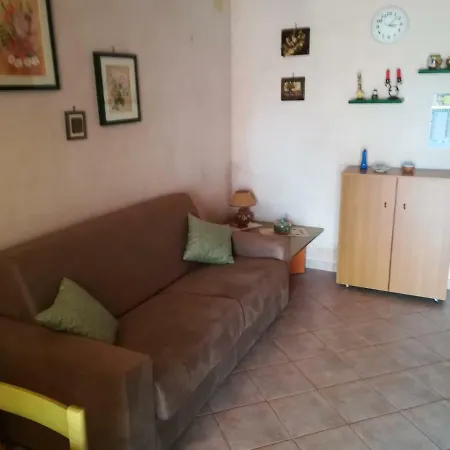 Begonie Studio