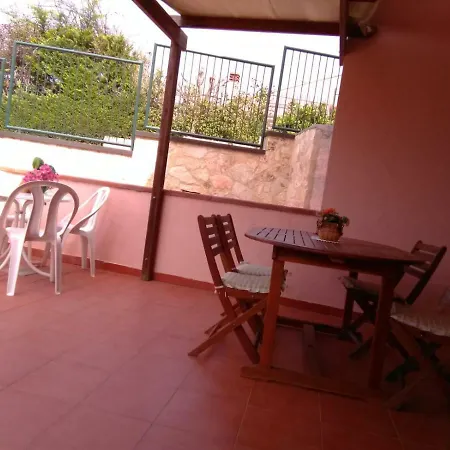 Begonie Studio *